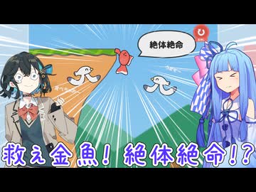 絶体絶命の金魚を救うゲーーーーーーーーーーーーーーーーーーーームwithチームブルー【ふぇにきのミニゲームゆにばぁ～す】