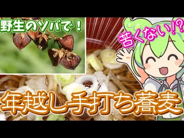 河川敷に生えてた野生ソバを採って"年越し手打ち蕎麦"を作る！【シャクチリソバ】【2025】