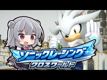 当家のソニックレーシングクロスワールド38