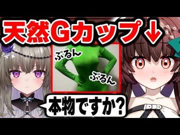 天然Gカップの巨乳Vtuberが本物を証明！？体を張って証明する天藤あかねとボロが出て自滅する冥鳴ひまり【切り抜き/Vtuber】