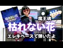 【小学生ベース】「枯れない花」【エレキベース・弾いてみた・キッズ・魔王魂】