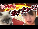 ナガセエマのポップコーンづくり　川崎エリート・ナガセエマ
