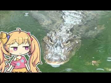 迫真爬虫類館部　ああ＾～いいファッ！？の裏技