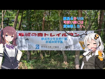 紲星あかりの　[可愛い娘ほど意地悪したい]