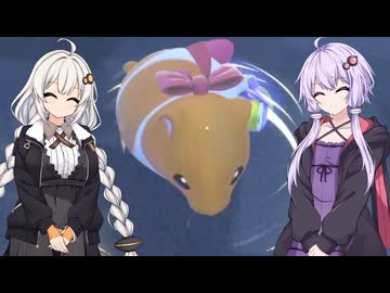 【カービィのエアライダー】ゆづきずエアライダー #15