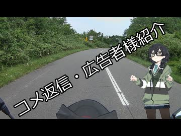 今年最後の動画