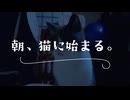 朝、猫に始まる。