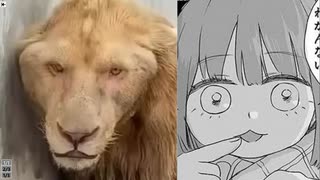 その他 niconico NMX-ENC-N2135A Encoder | AMX Audio Video Control Systems | English