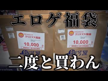 【2026年版】秋葉原で買った1万円のエロゲ福袋を開封【美少女PCゲーム】