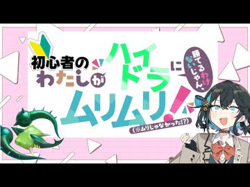 【カービィのエアライダー】初心者のわたしがハイドラに勝てるわけないじゃん、ムリムリ!（※ムリじゃなかった!?）【マキ&モカ、ライドする #1】