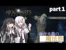 【Hogwarts Legacy】ハリポタ見た事ないけど大丈夫でしょ！！！