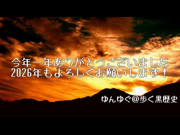 【単発】2025年最後の動画【大遅刻】