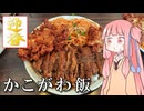【ソフトウェアトーク車載】かこがわ飯