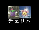 ポケモンの素早さによって呼ばれる速度が速くなるマスターポケラップ(ホウエン・シンオウ)