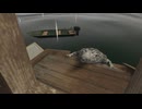 【VRChatワールド紹介】台風でワニが襲来した家