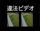 ［違法ビデオ］Bad video! 2