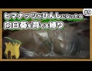 【ポケモンXY】ヒマナッツがひんしになったら『現実で向日葵を育てる縛り』（Part⑨）
