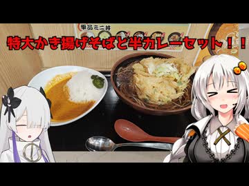 特大かき揚げそばと本格スパイスカレー！ よもだそば 名古屋サンロード店 あかりめし#28