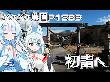 2026年1月2日　農作業日誌P1593　初詣の為に三ケ日にある濱名惣社神明宮へ