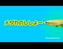 メダカのししょー