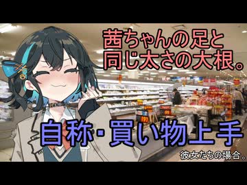 自称・買い物上手、彼女たちの場合。【VOICEROID劇場】