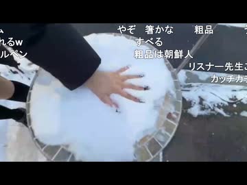 贅肉・ミュート・茶々丸コラボ　雪合戦