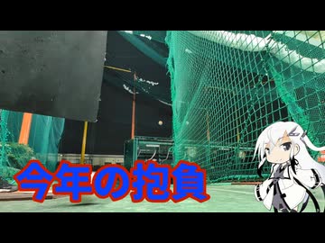 〜バッセン動画〜