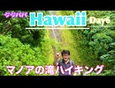 初【Hawaii】刑事旅 マノアの滝ハイク & 空港 day6 +7 #6