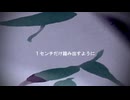 Hidden Mutuality (feat. 花響琴) サビ部分