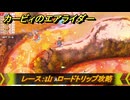 【スイッチ２おすすめゲーム】カービィのエアライダー　レース：山　ロードトリップ攻略　ステージ１１　最果ての地　＃５６４　【任天堂switch2】