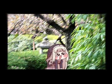‍