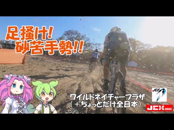 【シクロクロス車載】ずんだもんはやっぱり砂遊びが苦手なようです #23【東海シクロクロス 2025-26 ワイルドネイチャープラザ day2（+全日本の結果報告）】