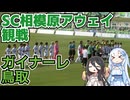 【アウェイ観戦】SC相模原サポーターによるガイナーレ鳥取戦アウェイ観戦記一日目【ガイナーレ鳥取】