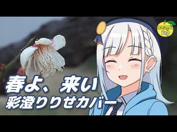春よ、来い （松任谷由実） ／ 彩澄りりせ （SynthesizerV 2）カバー