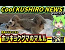 【釧路動物園でマルル初公開】Cool　KUSHIRO　NEWS　Vo.127【釧路ニュースVOICEVOXずんだもん解説】