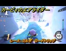 【スイッチ２おすすめゲーム】カービィのエアライダー　レース：コルダ　ロードトリップ　ステージ２　大輪の花畑　＃５９１　【任天堂switch2】