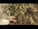 Light Transitions For FCPX