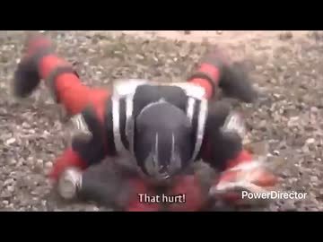 ホモと見る戦闘.