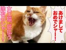 女王猫、煩悩払う除夜のシャー！