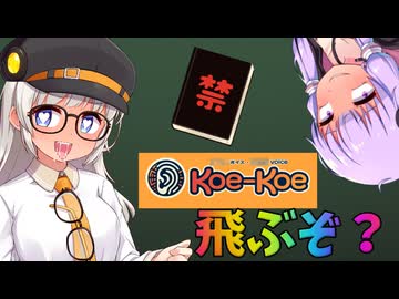 薄い本×koekoeLiveが欠点を補って"捗る"件【VOICEROID解説】