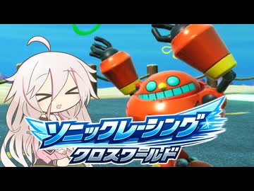 当家のソニックレーシングクロスワールド39