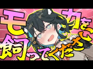 人生が辛くなったので猫になった宮舞モカ…