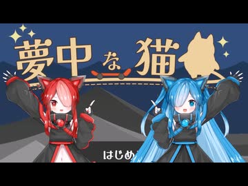 猫ちゃんをスケボーに乗せる猫使アル＆ビィ【夢中な猫】