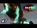 相棒ゴーレムくん大暴れ　ゼルダ無双 封印戦記実況　#7