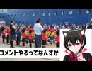 ズバ友のみの動画！ヒカマーや淫夢厨にも見て欲しくて動画を上げました！