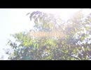 オリジナル曲｢木漏れ日和｣