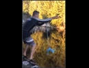 やじゅまんと見るターザン