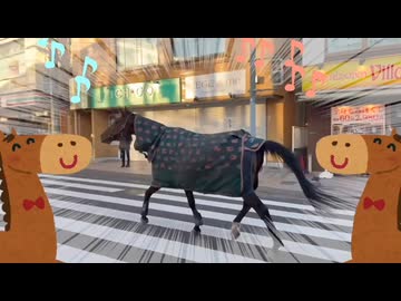 脱走した馬でナイトオブナイツ