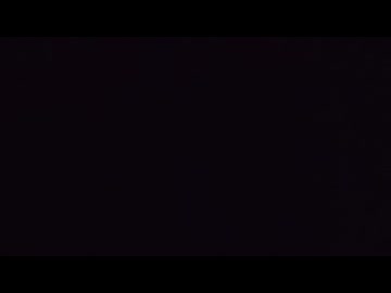 くもとちょうちょ？（短）
