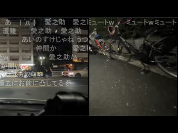 ミュートさんと愛之助くんの初接触